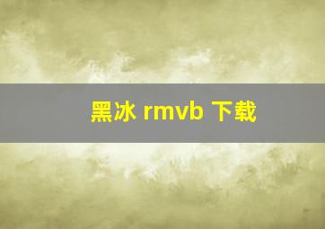 黑冰 rmvb 下载